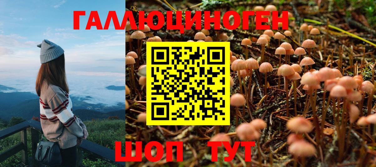 Галлюциногенные грибы MAGIC MUSHROOMS  Галлюциногенные грибы прущие грибы  Чапаевск  Вход с VPN 