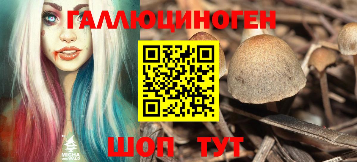 Галлюциногенные грибы GOLDEN TEACHER Чапаевск